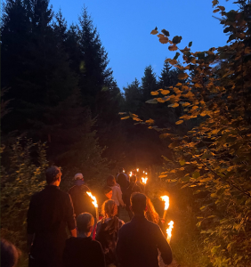 newsletter-konficamp3